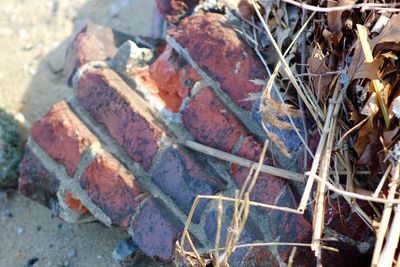 Close-up of broken door