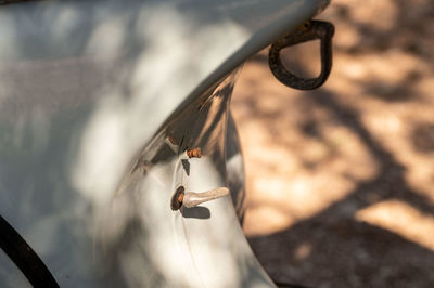 High angle view of spider on metal