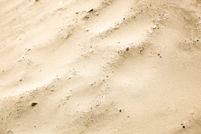 Photo of sand background texture