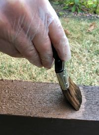 Close-up of hand holding wood