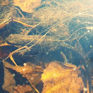 Aerial view of water