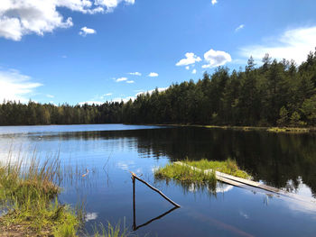 Scenic view of lake in forest against sky