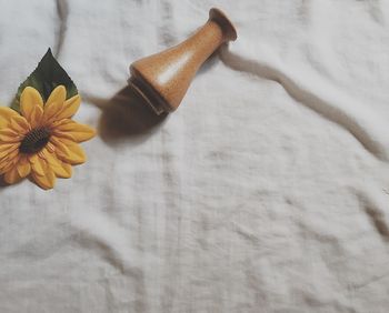 High angle view of flowering plant on table