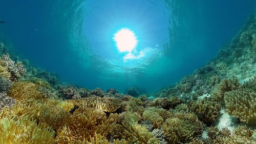 sea