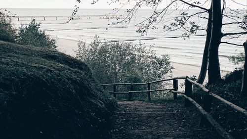 Staircase by trees against sky