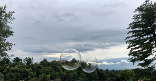 Low angle view of trees against cloudy sky