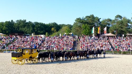 Crowd at stadium during horse racing