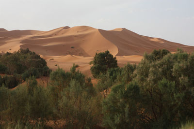 Scenic view of landscape