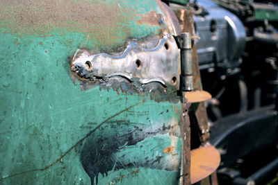 Close-up of tree trunk