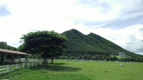 Scenic view of trees on field against sky