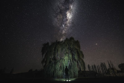 Low angle view of silhouette trees against sky at night