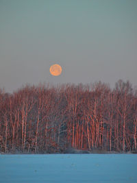 Scenic view of snow field against clear sky