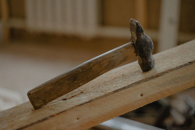 Close-up of wood