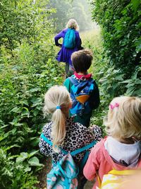 Rear view of friends on plants
