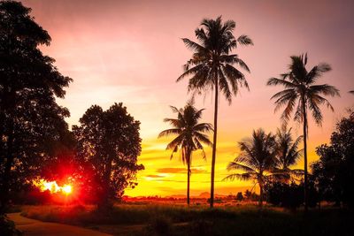 Silhouette trees against sky during sunset