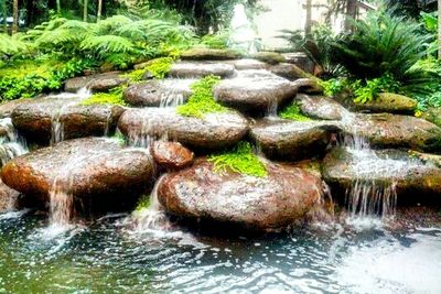 Stream flowing through rocks