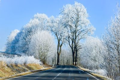 Road amidst bare trees against clear blue sky