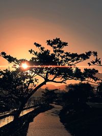 sunset