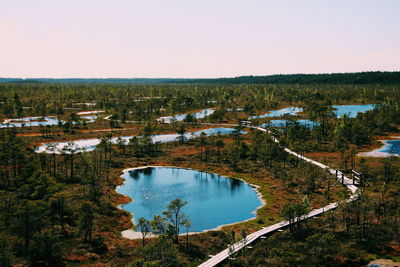 Scenic view of river with trees in background