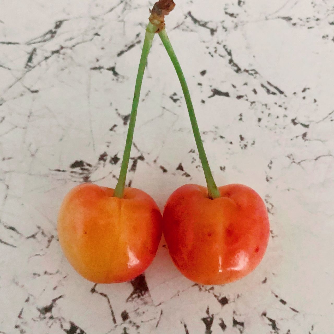 CLOSE-UP OF ORANGE ON PLANT