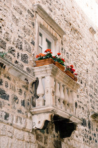 Low angle view of old building