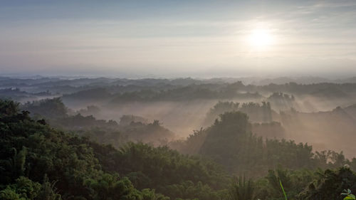 Scenic view of foggy landscape against sky