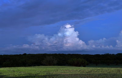 Scenic view of field against sky