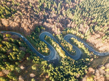 High angle view of road amidst trees