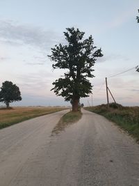 Empty road amidst trees on field against sky