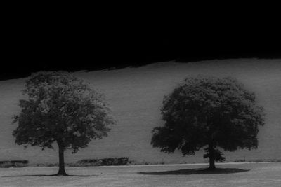 Trees on field against sky