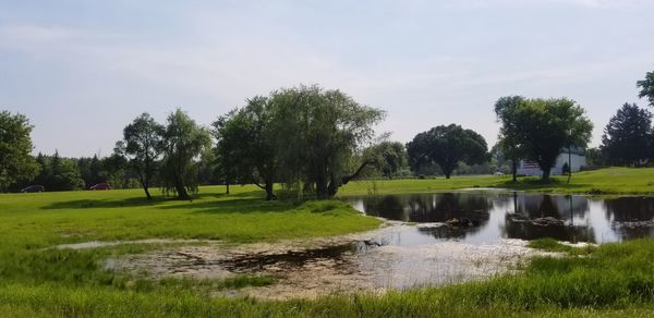 Scenic view of golf course against sky