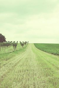 Dirt road passing through field