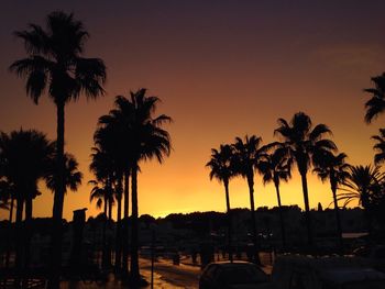 Silhouette of palm trees at sunset