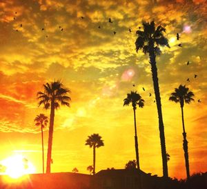 Low angle view of palm trees against dramatic sky