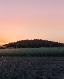 Scenic view of field against sky during sunset