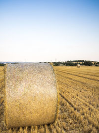 Scenic view of agricultural field against clear sky