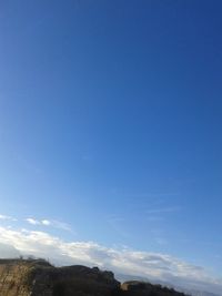 Low angle view of trees against blue sky