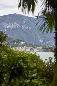 Scenic view of lake by trees against sky