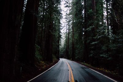 Road amidst trees in forest