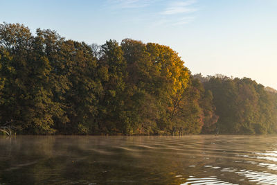 Scenic view of lake in forest against sky