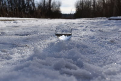 Close-up of frozen water on land