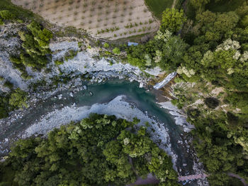 High angle view of river flowing amidst trees in forest