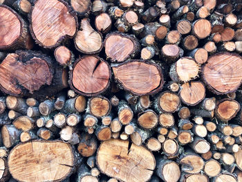 Full frame shot of logs in forest