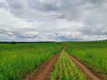 Scenic view of agricultural field against sky