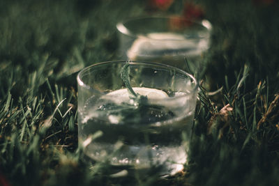 Close-up of wine glass on field