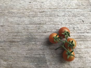 High angle view of orange on table