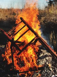 Close-up of bonfire in winter