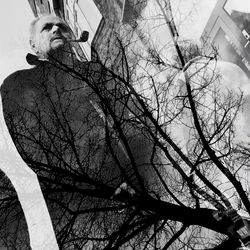 Close-up low angle view of tree