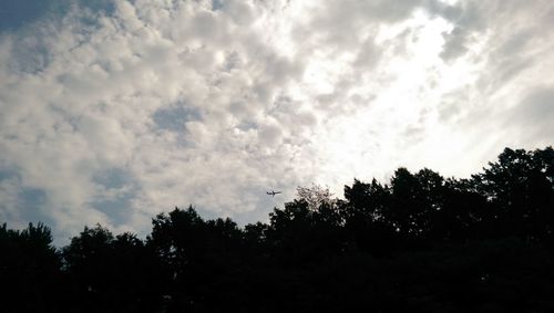 Low angle view of trees against cloudy sky