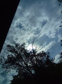 Low angle view of silhouette trees against sky